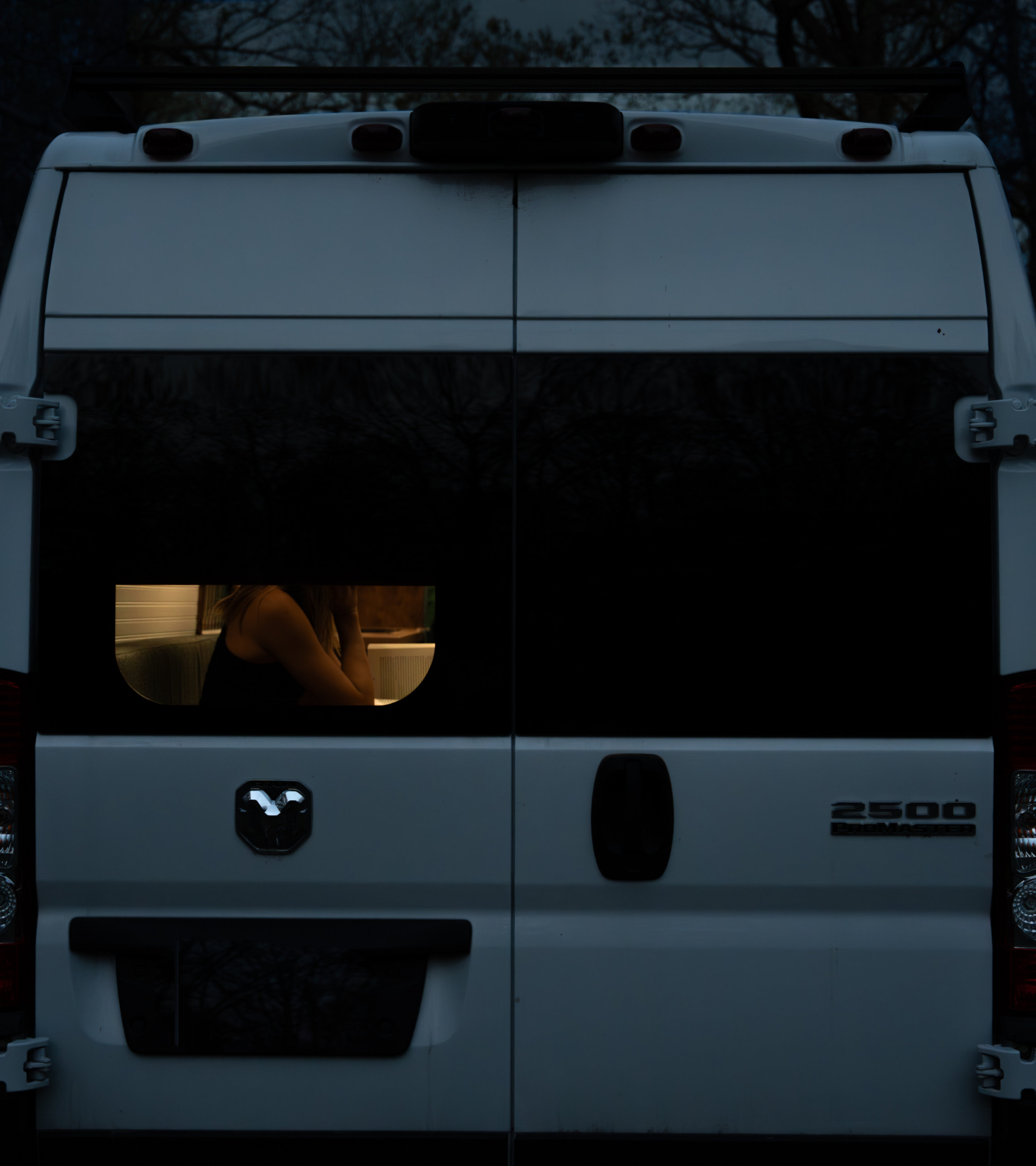Promaster rear windows